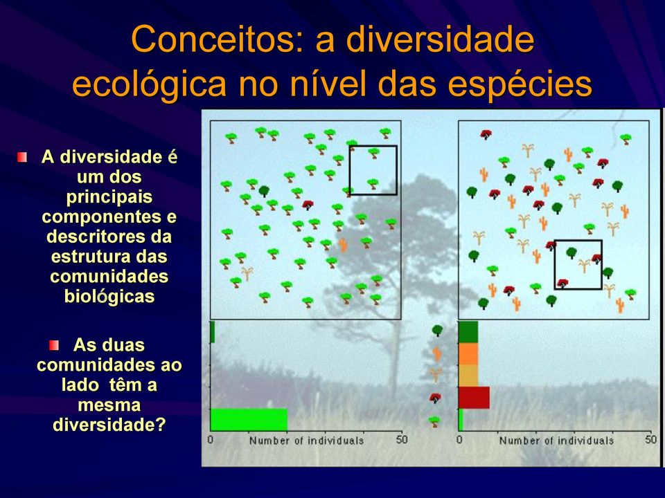 componentes e descritores da estrutura das