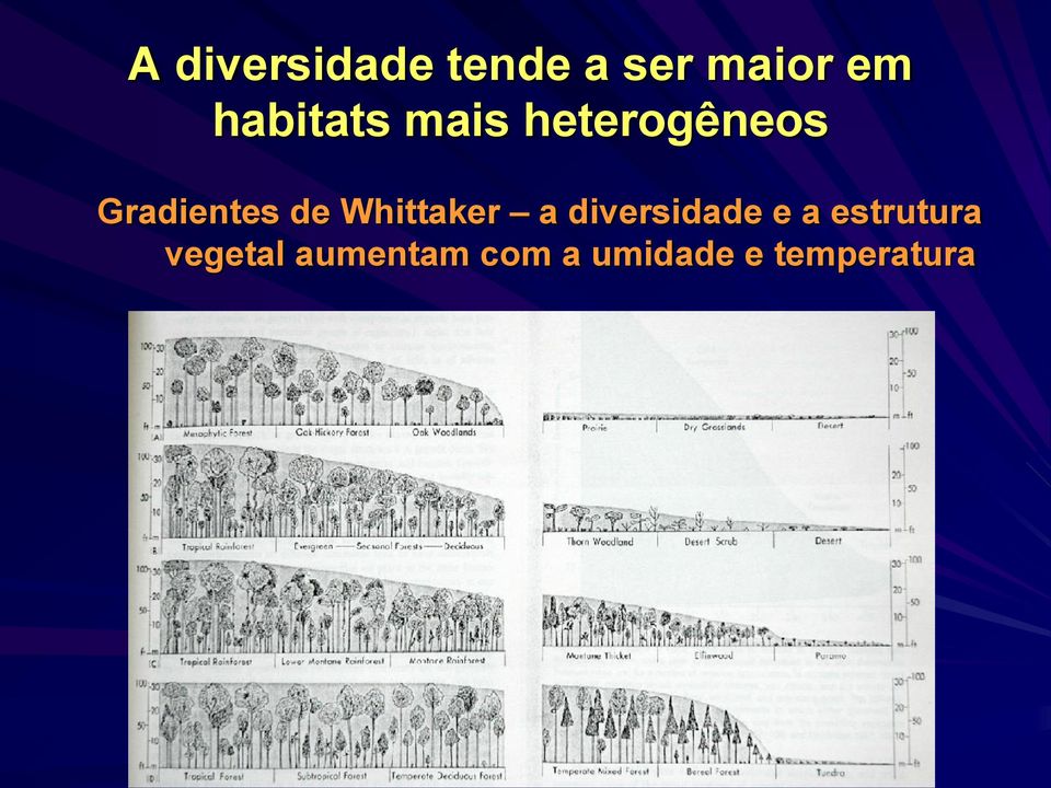 de Whittaker a diversidade e a