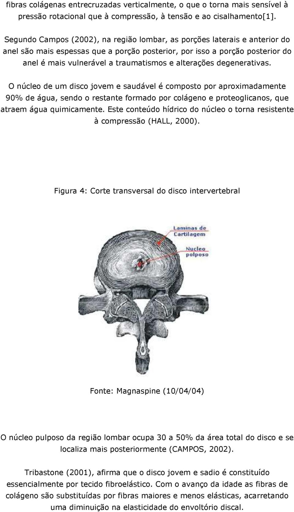 alterações degenerativas. O núcleo de um disco jovem e saudável é composto por aproximadamente 90% de água, sendo o restante formado por colágeno e proteoglicanos, que atraem água quimicamente.