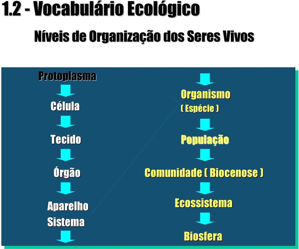 Organismo ( Espécie ) Tecido População Órgão