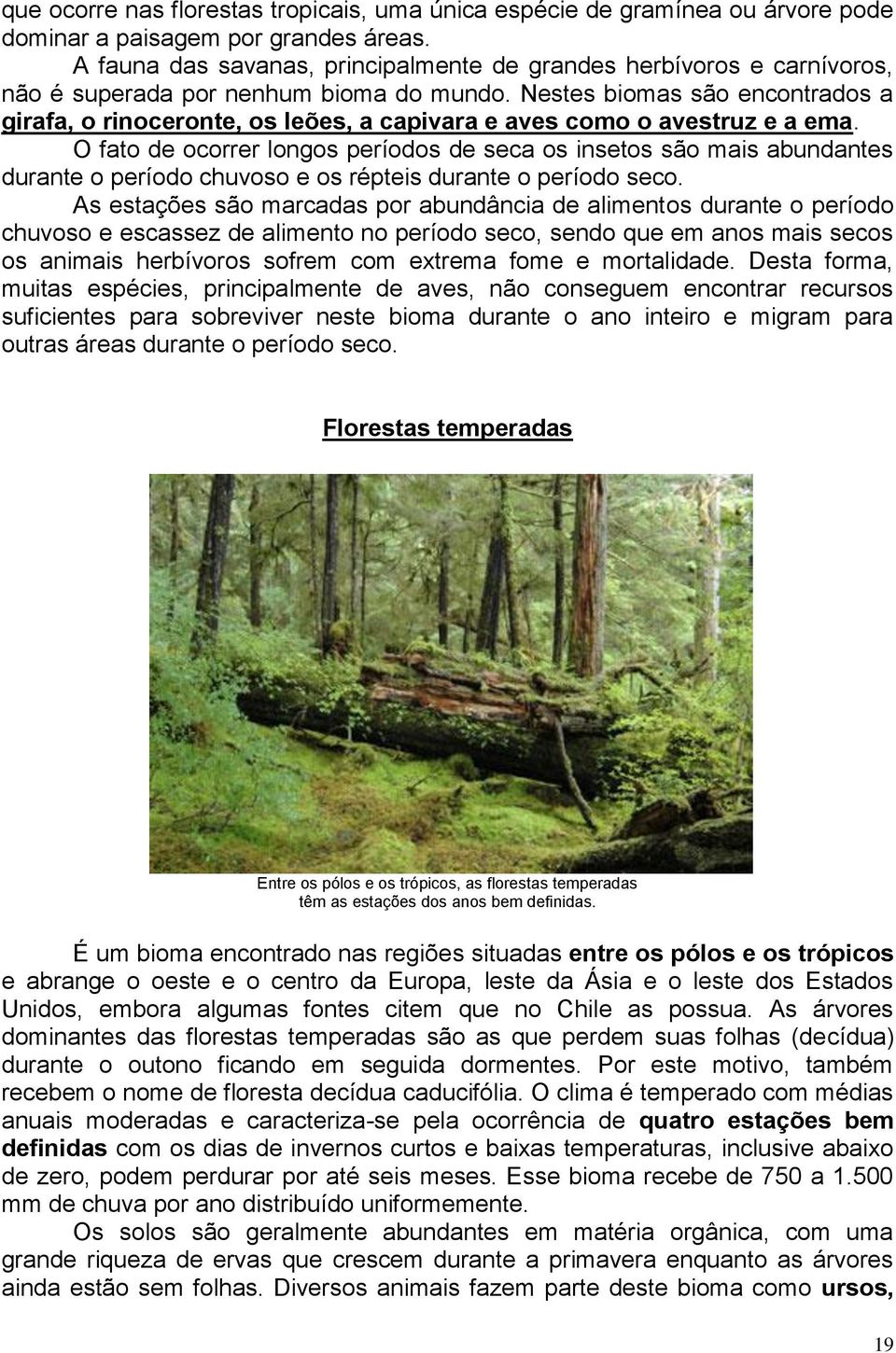 Nestes biomas são encontrados a girafa, o rinoceronte, os leões, a capivara e aves como o avestruz e a ema.