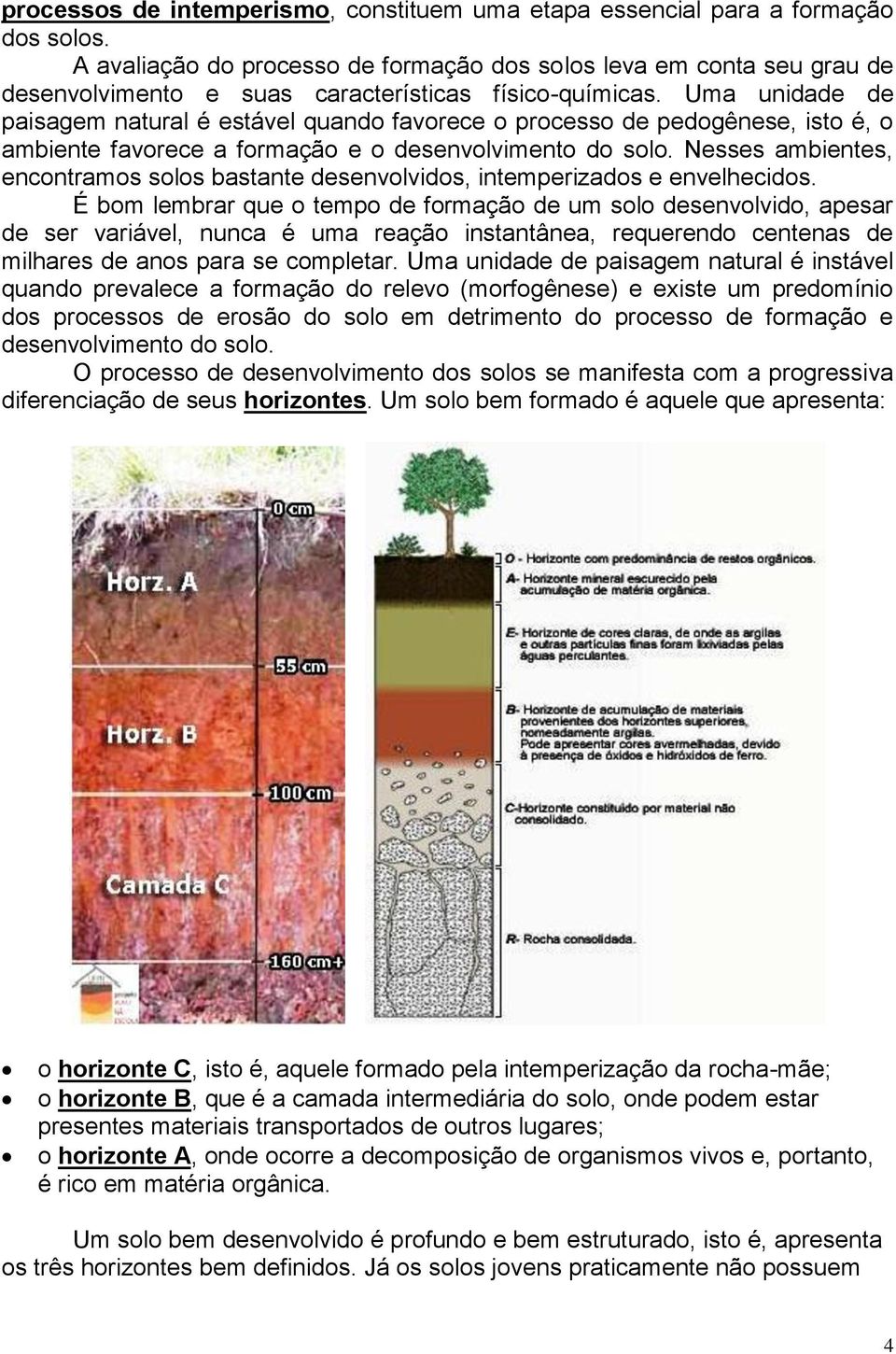 Uma unidade de paisagem natural é estável quando favorece o processo de pedogênese, isto é, o ambiente favorece a formação e o desenvolvimento do solo.