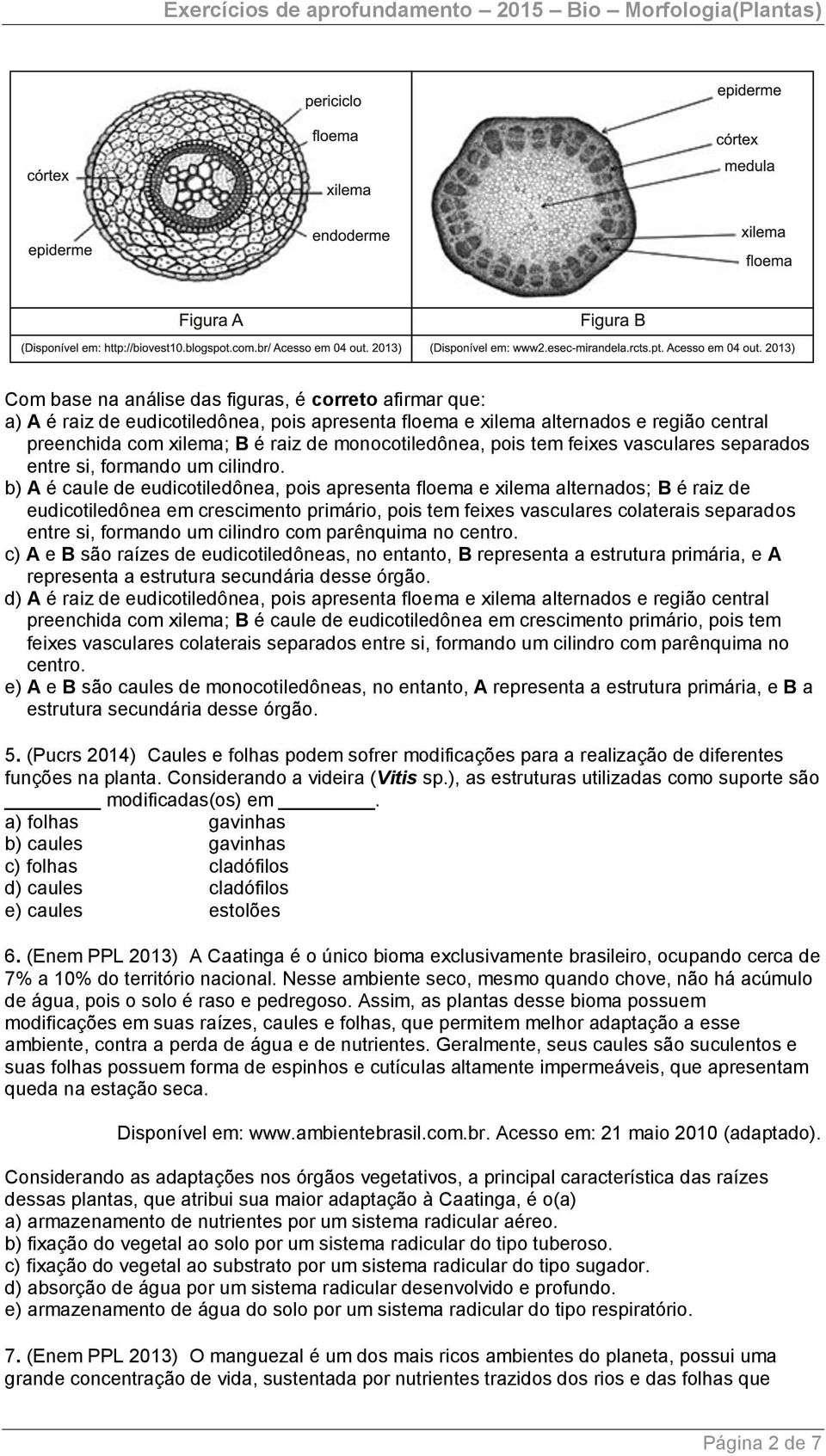 b) A é caule de eudicotiledônea, pois apresenta floema e xilema alternados; B é raiz de eudicotiledônea em crescimento primário, pois tem feixes vasculares colaterais separados entre si, formando um