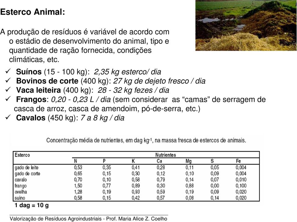 Suínos (15-100 kg): 2,35 kg esterco/ dia Bovinos de corte (400 kg): 27 kg de dejeto fresco / dia Vaca leiteira (400