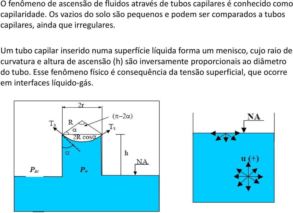 Um tubo capilar inserido numa superfície líquida forma um menisco, cujo raio de curvatura e altura de ascensão