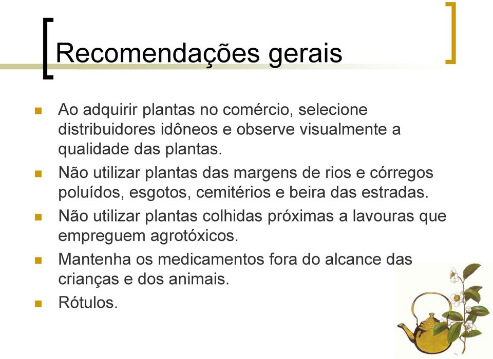 Não utilizar plantas das margens de rios e córregos poluídos, esgotos, cemitérios e beira das