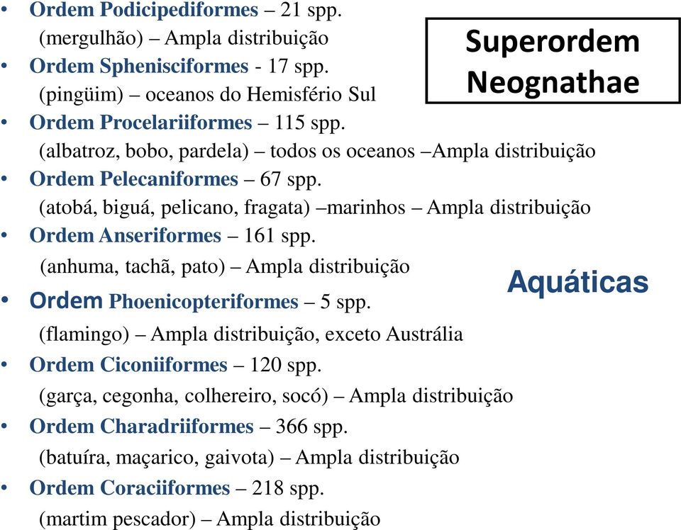 (anhuma, tachã, pato) Ampla distribuição Ordem Phoenicopteriformes 5 spp. (flamingo) Ampla distribuição, exceto Austrália Ordem Ciconiiformes 120 spp.