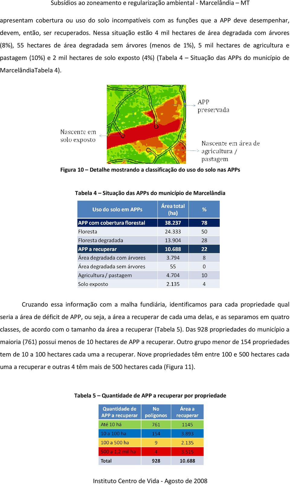 solo exposto (4%) (Tabela 4 Situação das APPs do município de MarcelândiaTabela 4).