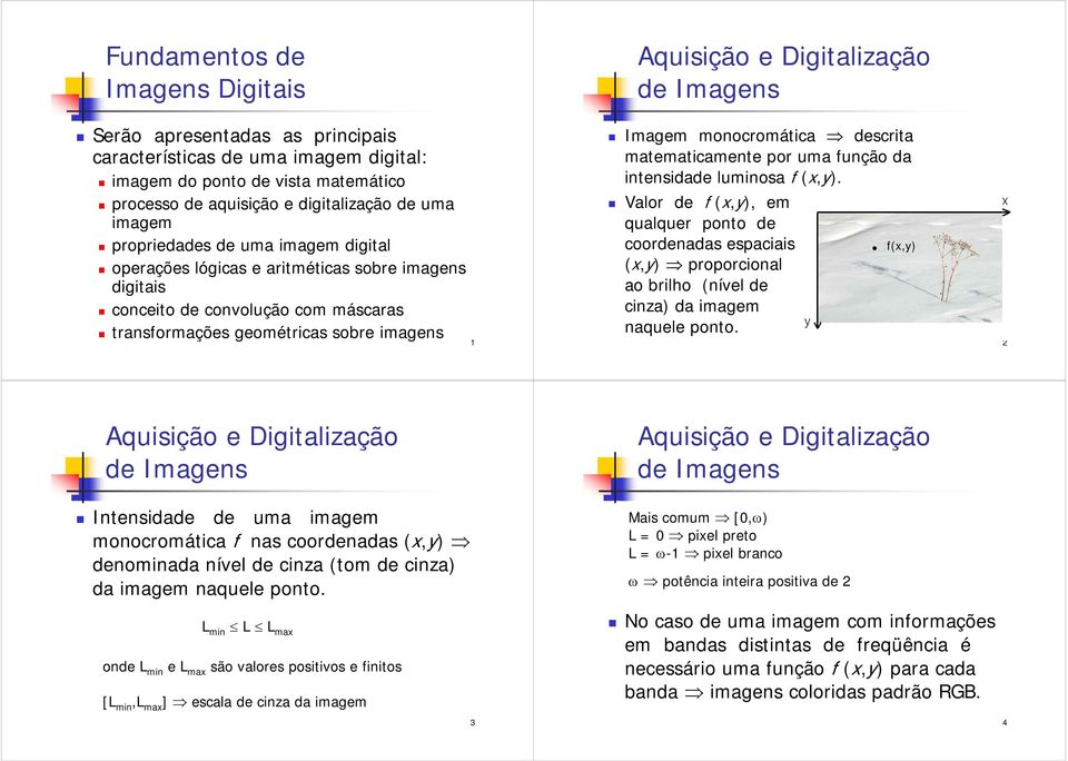 descrita matematicamente por uma função da intensidade luminosa f (x,y).