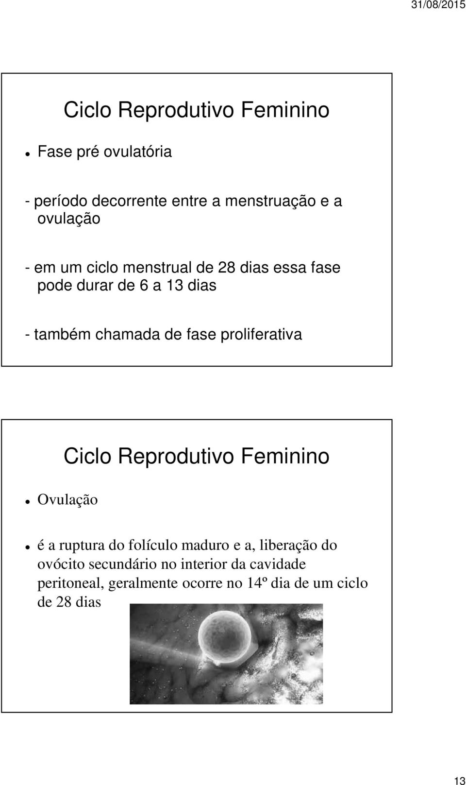 proliferativa Ovulação Ciclo Reprodutivo Feminino é a ruptura do folículo maduro e a, liberação do