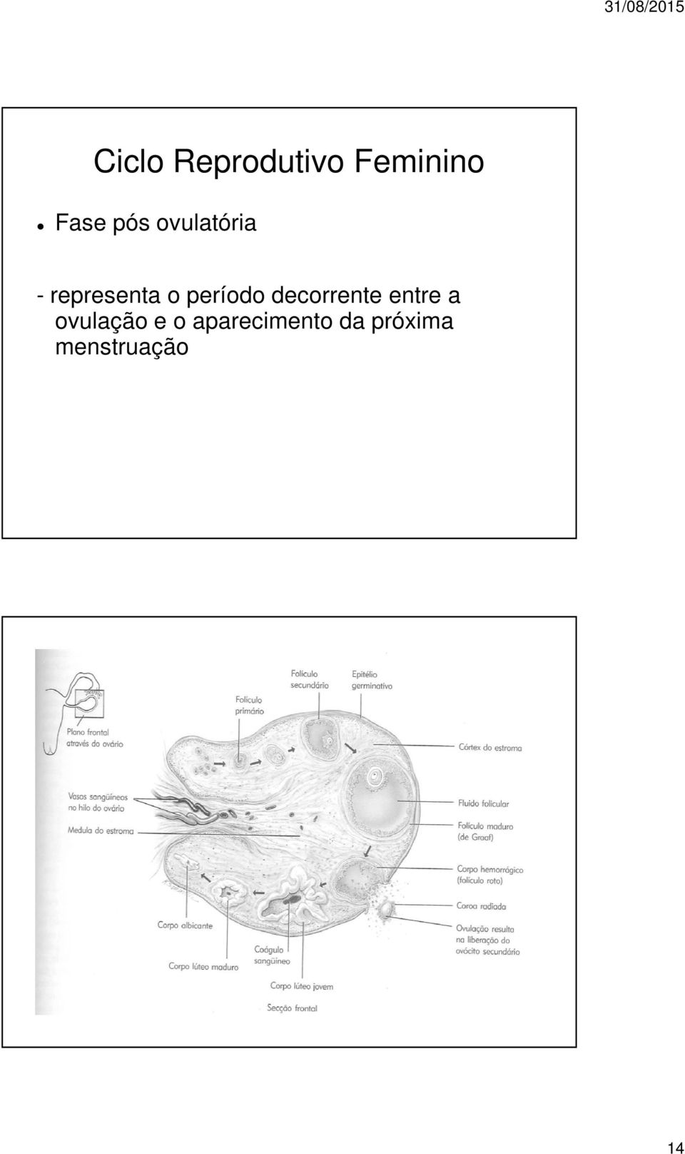 período decorrente entre a