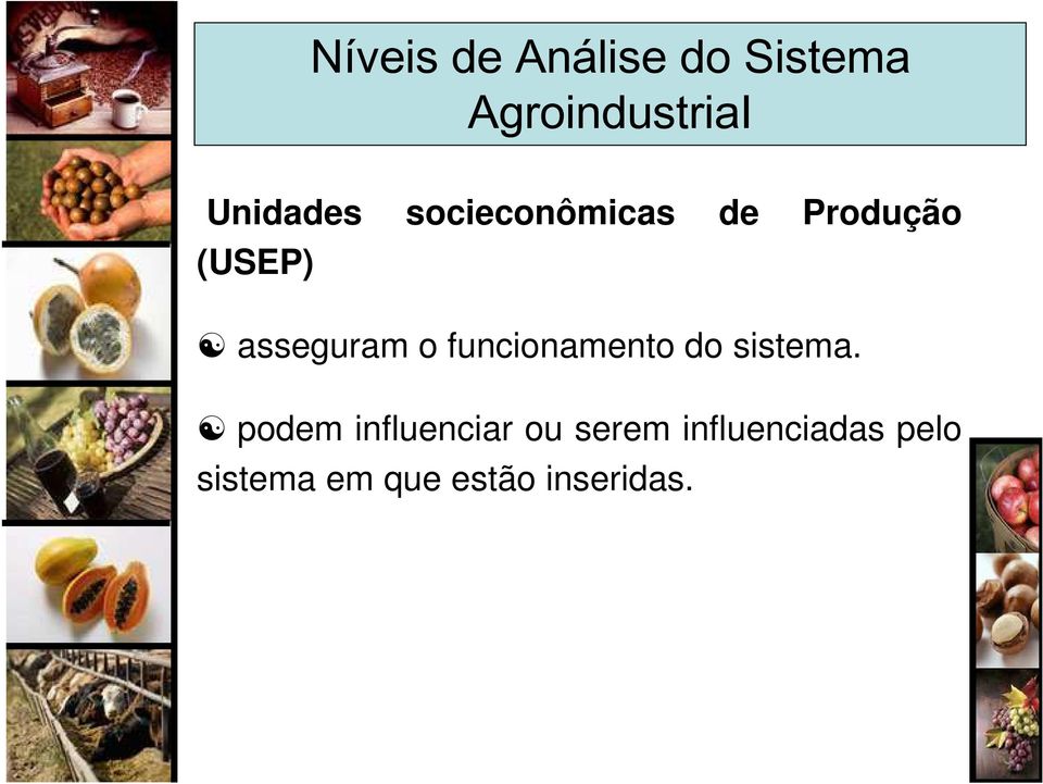 asseguram o funcionamento do sistema.