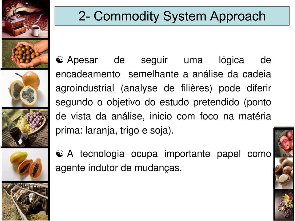 do estudo pretendido (ponto de vista da análise, inicio com foco na matéria prima: