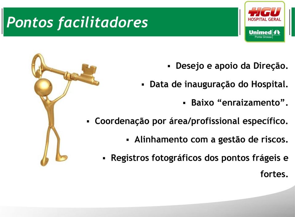 Coordenação por área/profissional específico.