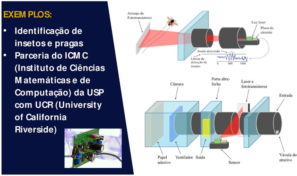 Matemáticas e de Computação) da USP com UCR