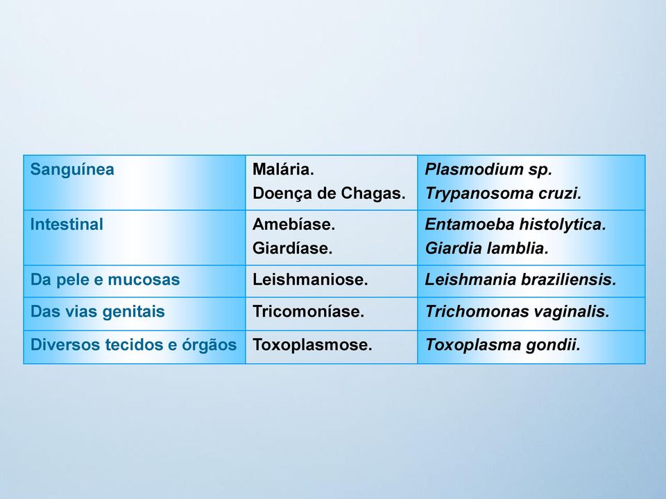 Da pele e mucosas Leishmaniose. Leishmania braziliensis.