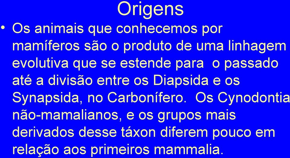 Diapsida e os Synapsida, no Carbonífero.