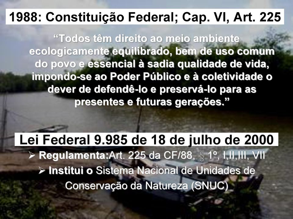 qualidade de vida, impondo-se ao Poder Público e à coletividade o dever de defendê-lo e preservá-lo para as