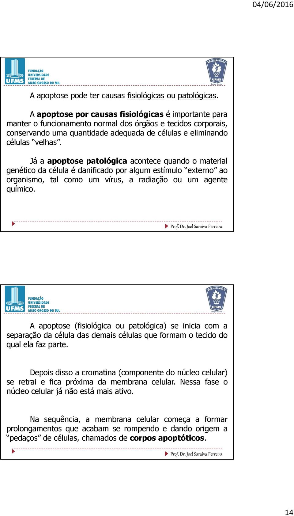 Já a apoptose patológica acontece quando o material genético da célula é danificado por algum estímulo externo ao organismo, tal como um vírus, a radiação ou um agente químico.