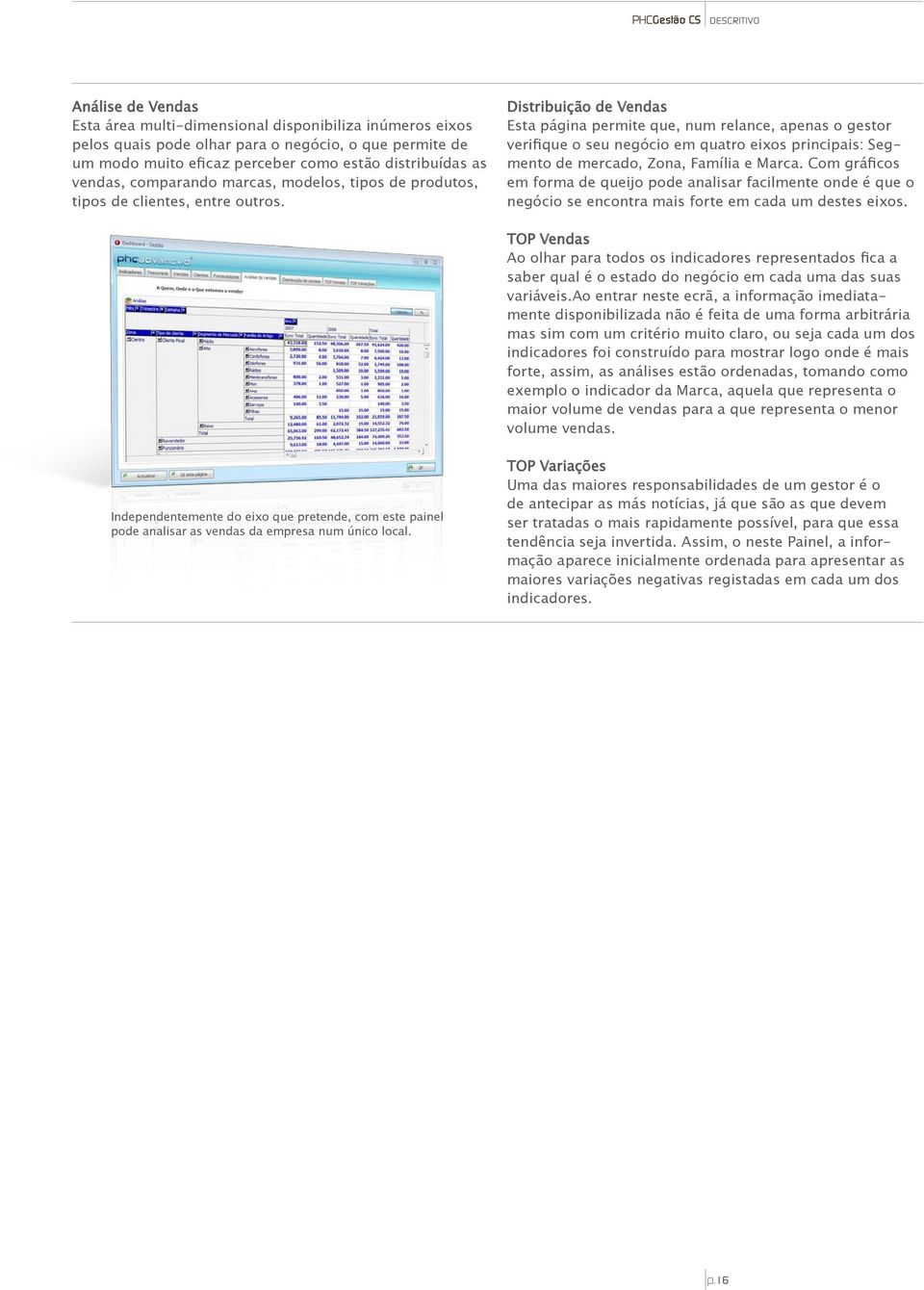 Distribuição de Vendas Esta página permite que, num relance, apenas o gestor verifique o seu negócio em quatro eixos principais: Segmento de mercado, Zona, Família e Marca.