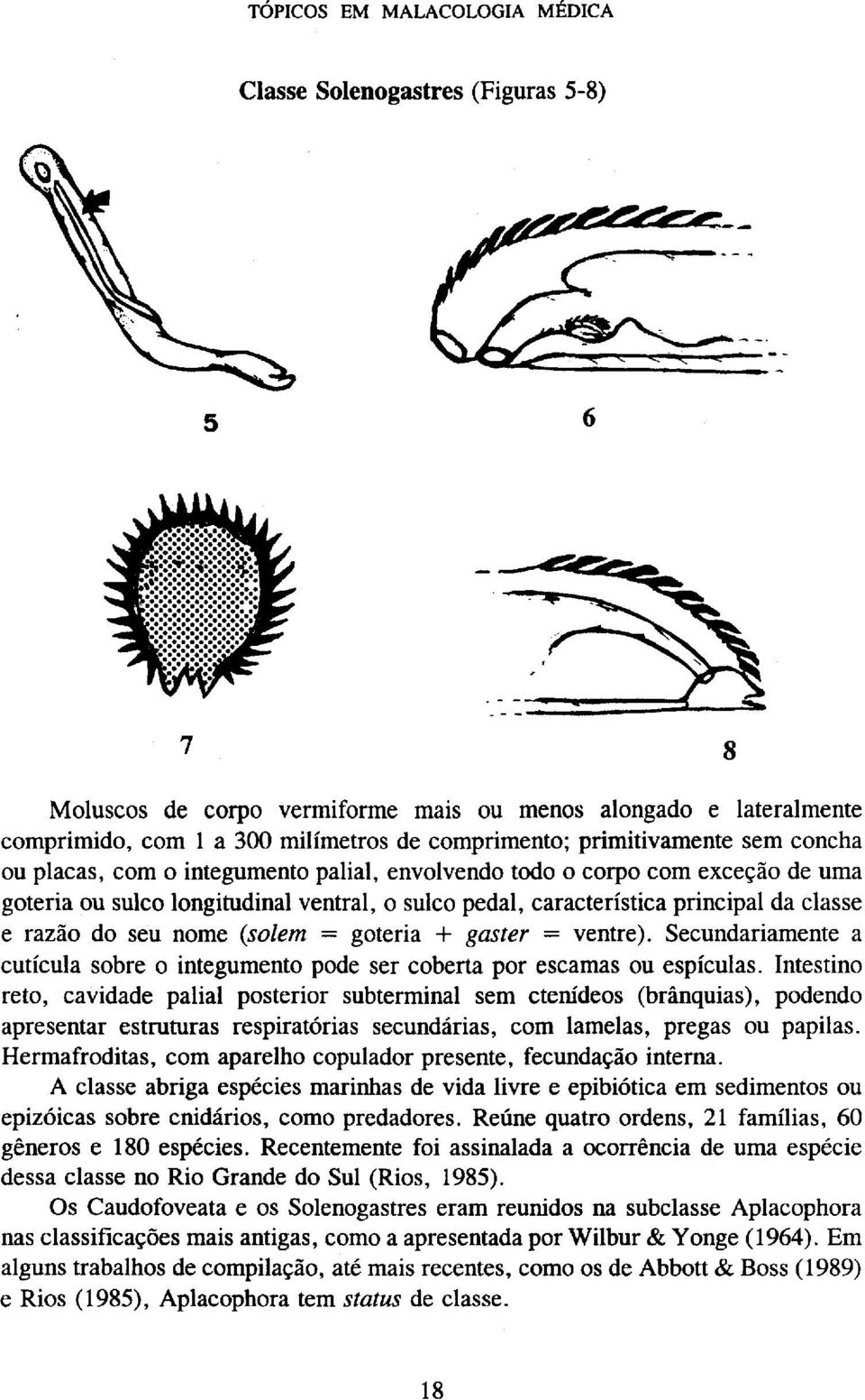 Secundariamente a cutícula sobre o integumento pode ser coberta por escamas ou espículas.