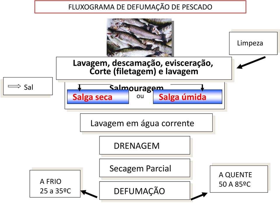 Salmouragem Salga seca ou Salga úmida A FRIO 25 a 35ºC