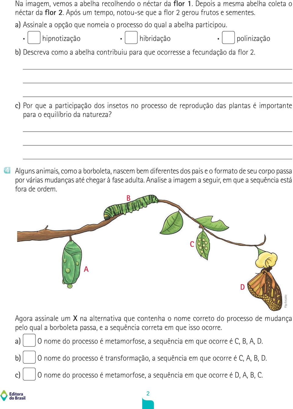c) Por que a participação dos insetos no processo de reprodução das plantas é importante para o equilíbrio da natureza?