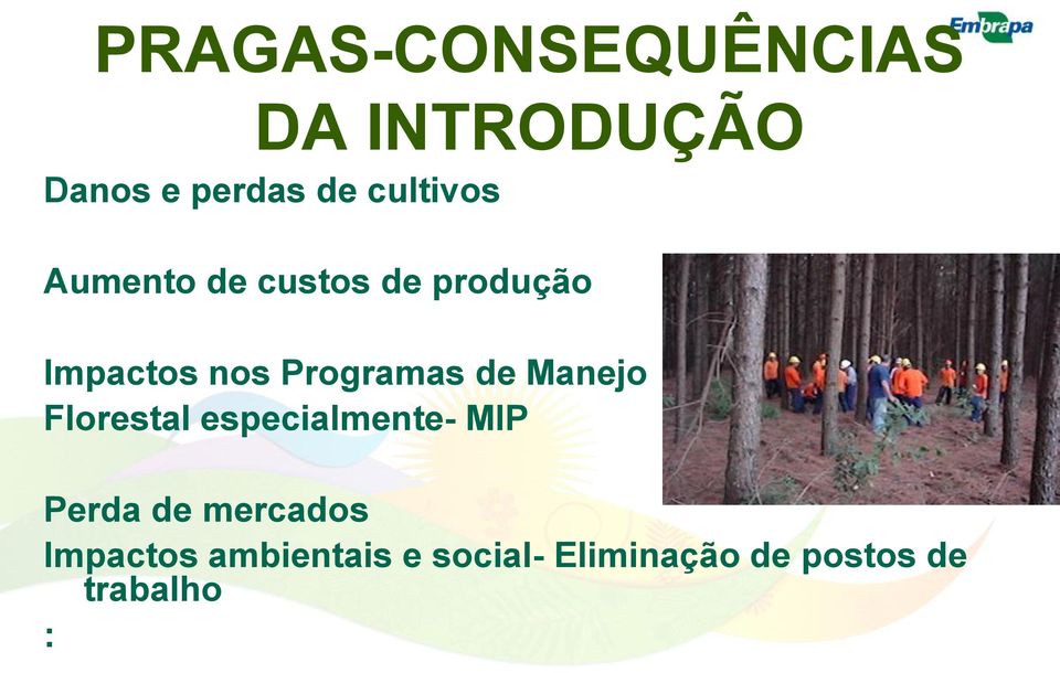 Programas de Manejo Florestal especialmente- MIP Perda de