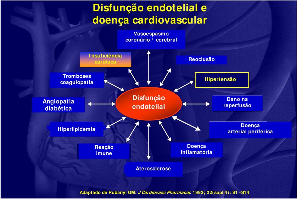 endotelial Dano na reperfusão Hiperlipidemia Doença arterial periférica Reação imune Doença