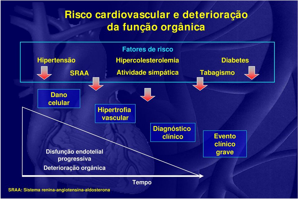 Disfunção endotelial progressiva Deterioração orgânica Hipertrofia vascular