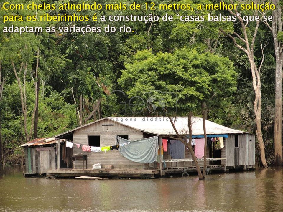 ribeirinhos é a construção de casas