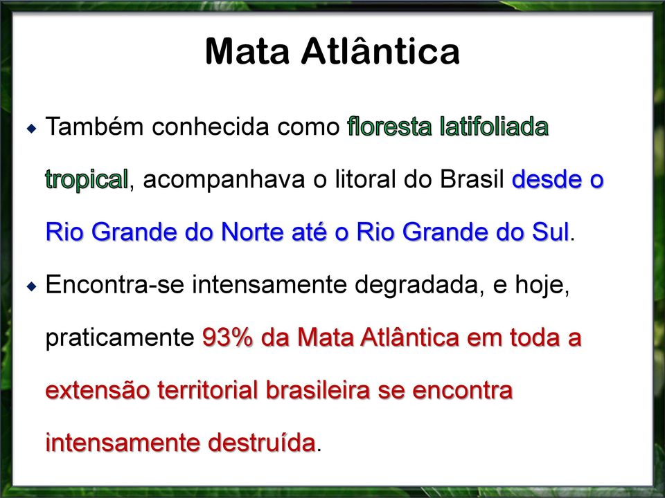 Encontra-se intensamente degradada, e hoje, praticamente 93% da Mata