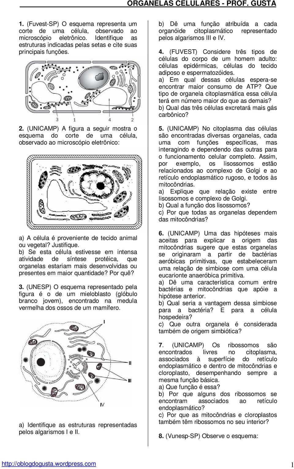 b) Se esta célula estivesse em intensa atividade de síntese protéica, que organelas estariam mais desenvolvidas ou presentes em maior quantidade? Por quê? 3.