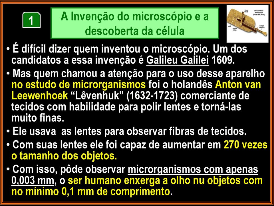 com habilidade para polir lentes e torná-las muito finas. Ele usava as lentes para observar fibras de tecidos.