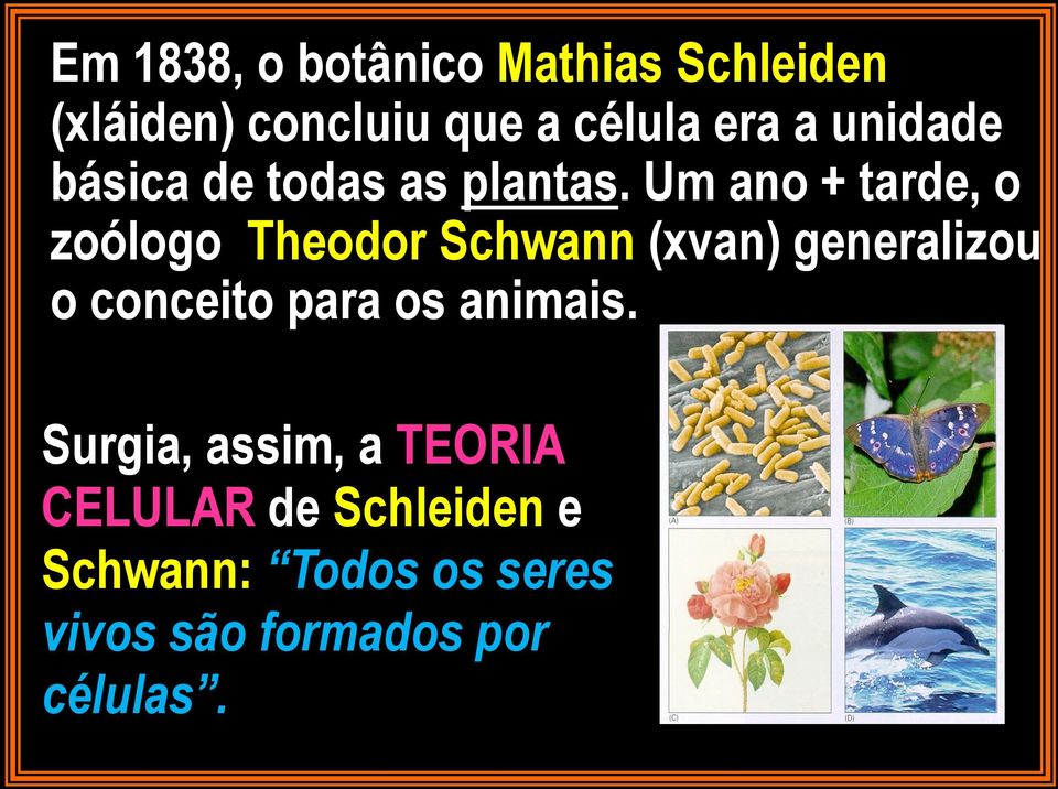 Um ano + tarde, o zoólogo Theodor Schwann (xvan) generalizou o conceito