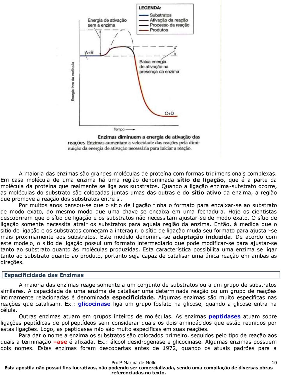 Quando a ligação enzima-substrato ocorre, as moléculas do substrato são colocadas juntas umas das outras e do sítio ativo da enzima, a região que promove a reação dos substratos entre si.