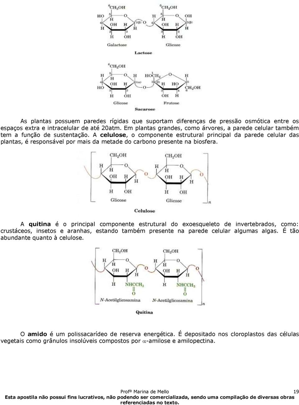 A celulose, o componente estrutural principal da parede celular das plantas, é responsável por mais da metade do carbono presente na biosfera.