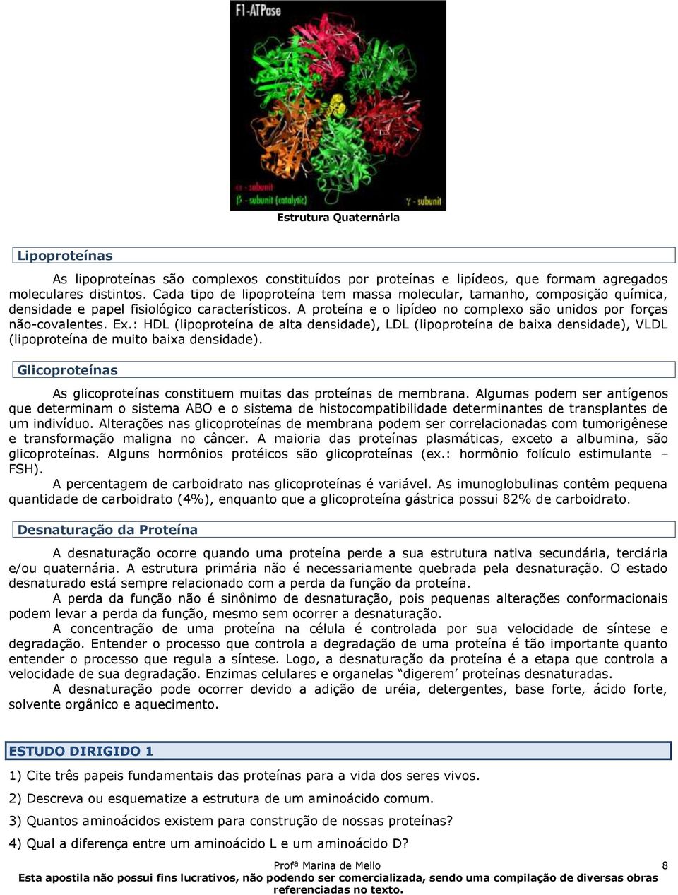 : HDL (lipoproteína de alta densidade), LDL (lipoproteína de baixa densidade), VLDL (lipoproteína de muito baixa densidade).