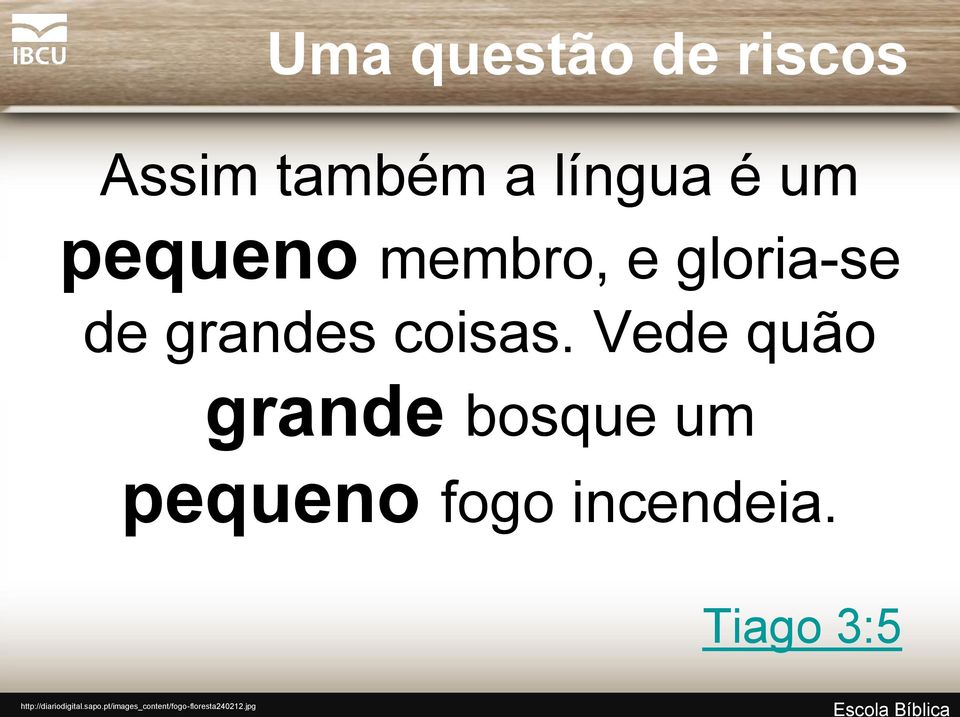 Vede quão grande bosque um pequeno fogo incendeia.