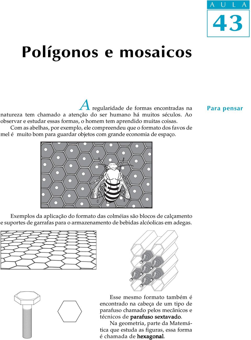 Com as abelhas, por exemplo, ele compreendeu que o formato dos favos de mel é muito bom para guardar objetos com grande economia de espaço.