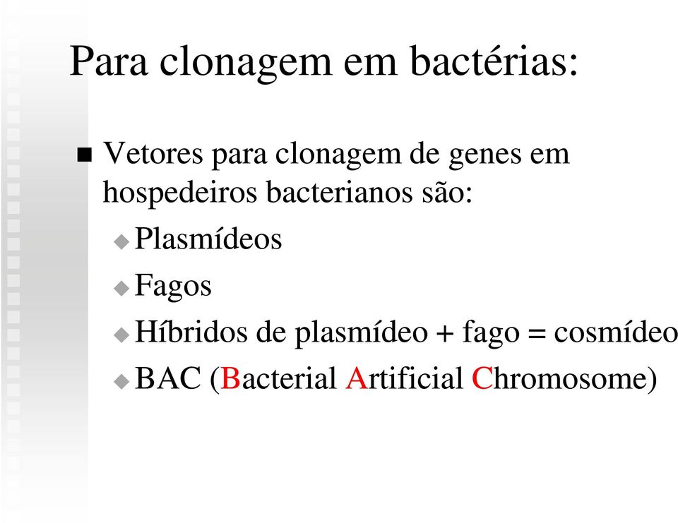 são: Plasmídeos Fagos Híbridos de plasmídeo +