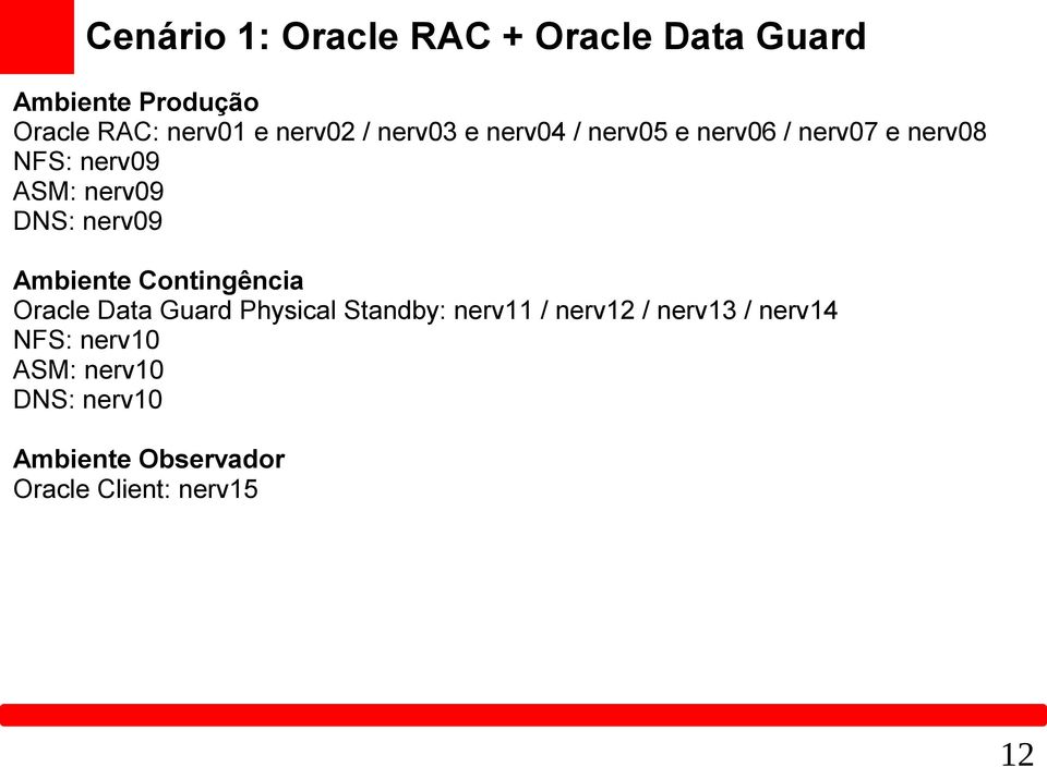 nerv09 Ambiente Contingência Oracle Data Guard Physical Standby: nerv11 / nerv12 /