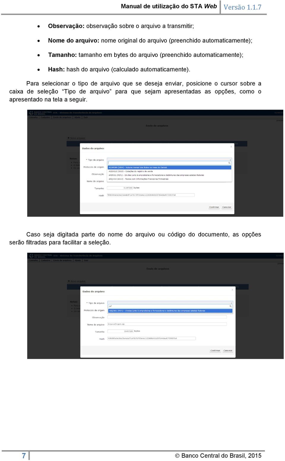 Para selecionar o tipo de arquivo que se deseja enviar, posicione o cursor sobre a caixa de seleção Tipo de arquivo para que sejam apresentadas as