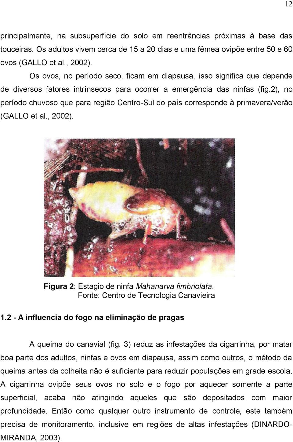 2), no período chuvoso que para região Centro-Sul do país corresponde à primavera/verão (GALLO et al., 2002). Figura 2: Estagio de ninfa Mahanarva fimbriolata.