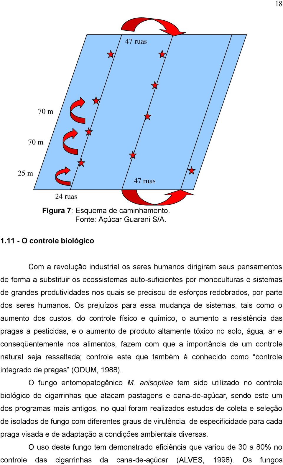 produtividades nos quais se precisou de esforços redobrados, por parte dos seres humanos.