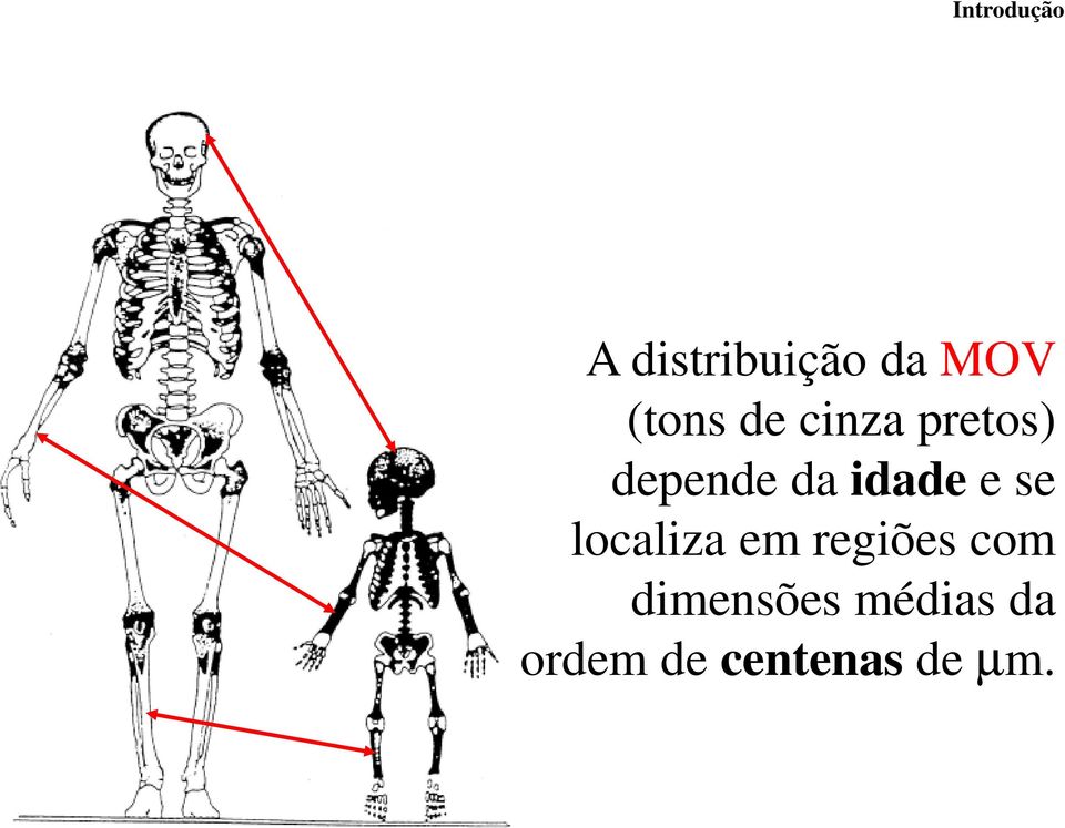 idade e se localiza em regiões com