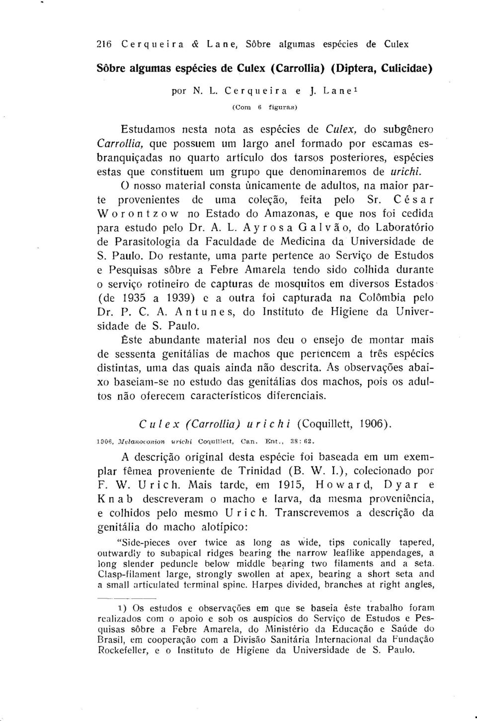 espkies estas que constituem urn grupo que denominaremos de urichi. 0 nosso material consta tinicamente de adultos, na maior parte provenientes de uma cole$go, feita pelo Sr.