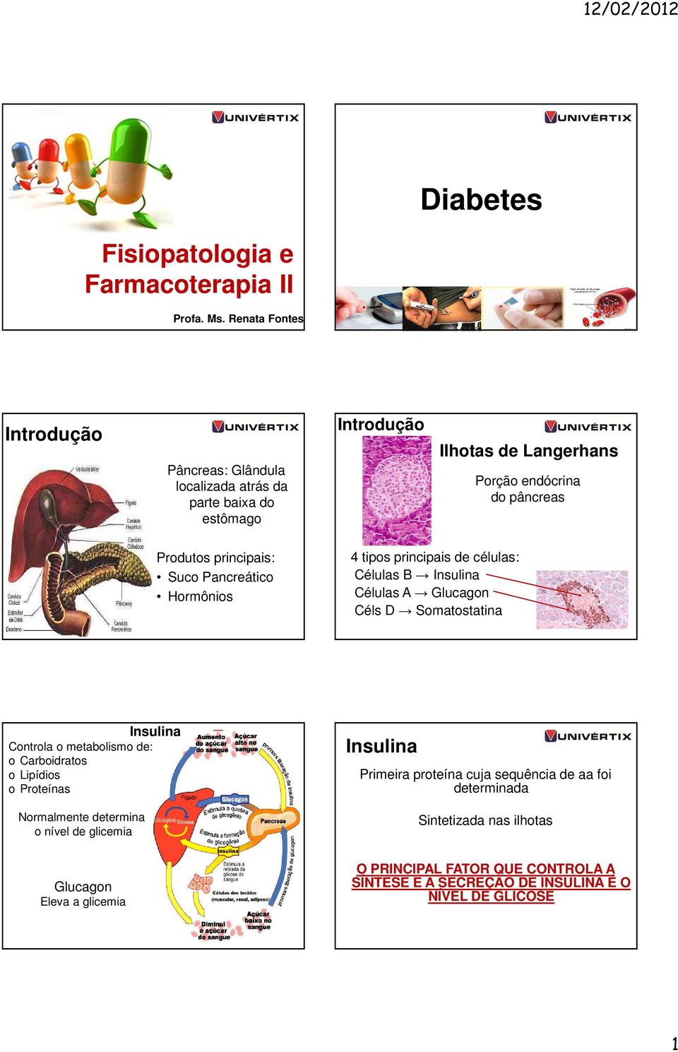 principais: Suco Pancreático Hormônios 4 tipos principais de células: Células B Insulina Células A Glucagon Céls D Somatostatina Insulina Controla o metabolismo de: