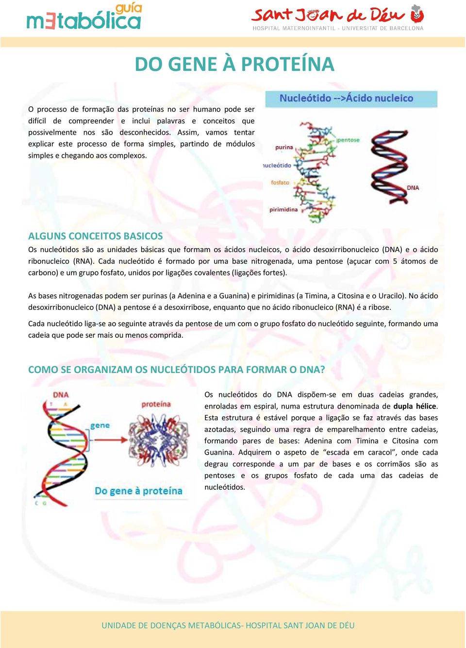 ALGUNS CONCEITOS BASICOS Os nucleótidos são as unidades básicas que formam os ácidos nucleicos, o ácido desoxirribonucleico (DNA) e o ácido ribonucleico (RNA).