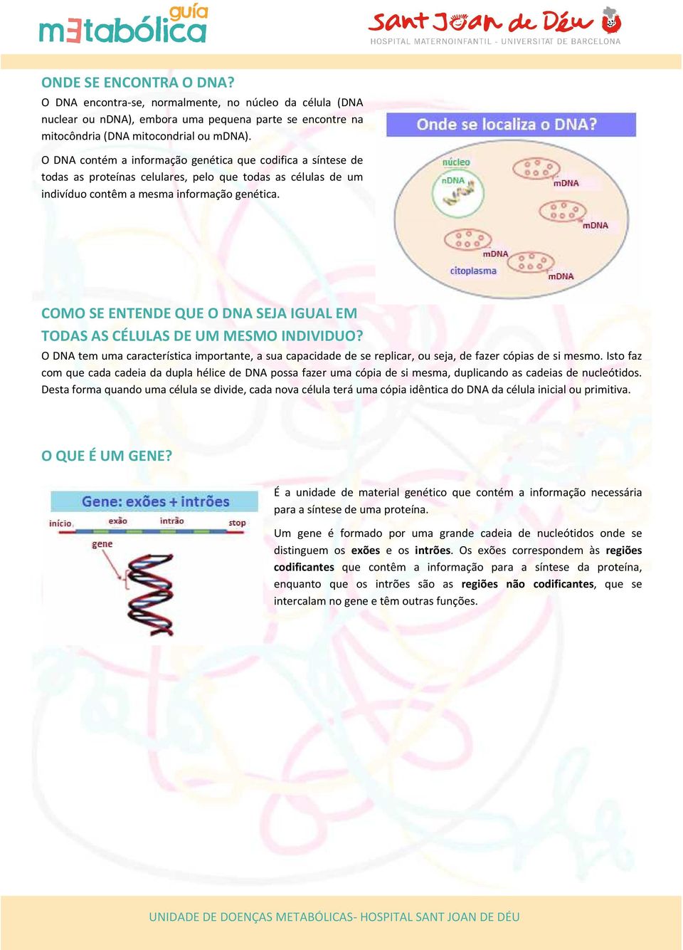 COMO SE ENTENDE QUE O DNA SEJA IGUAL EM TODAS AS CÉLULAS DE UM MESMO INDIVIDUO? O DNA tem uma característica importante, a sua capacidade de se replicar, ou seja, de fazer cópias de si mesmo.